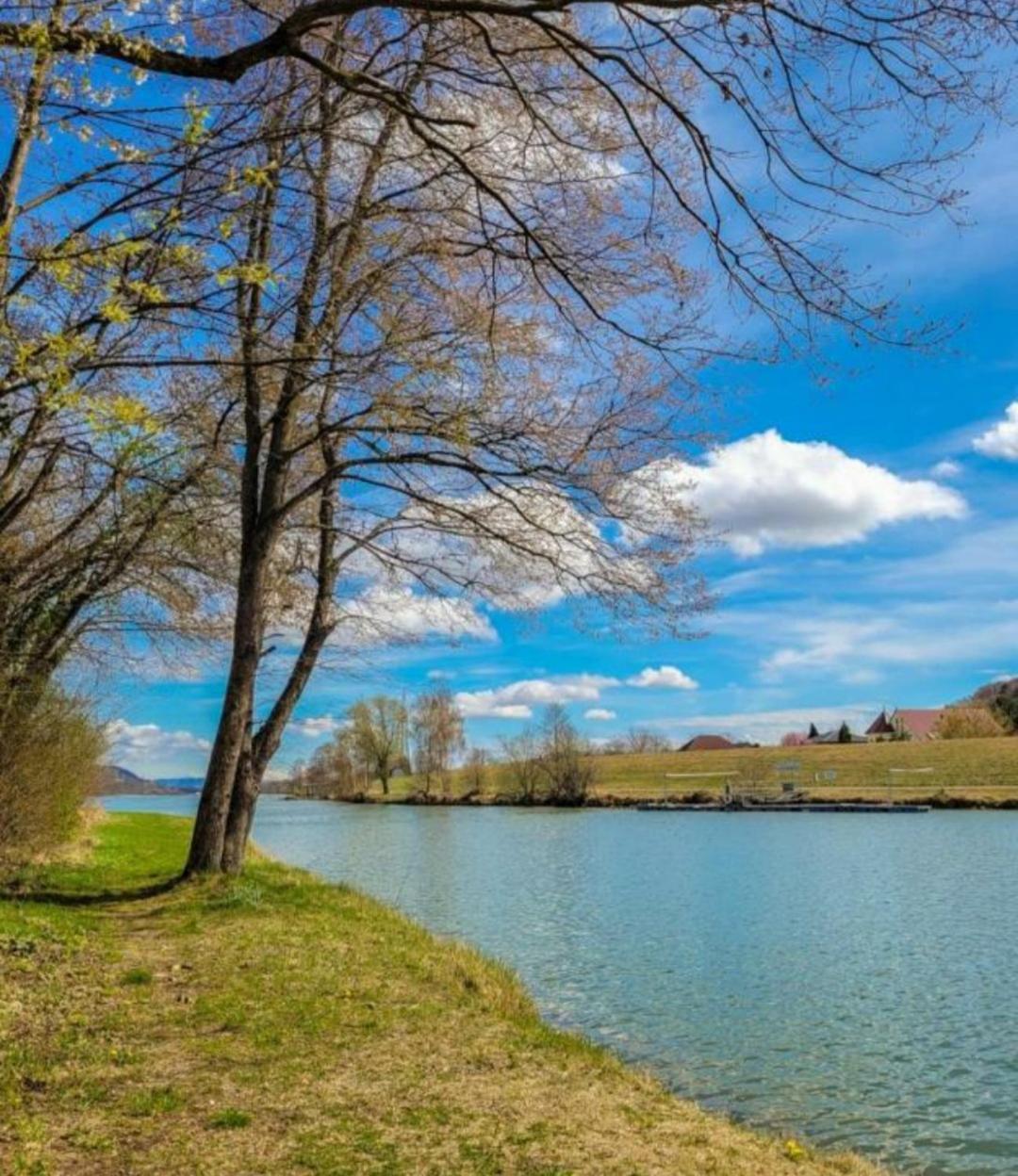 Apartment An Der Donau Krumnussbaum Eksteriør bilde